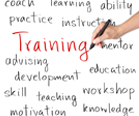 Training Development - Transfers of Learning Custom Solution Development